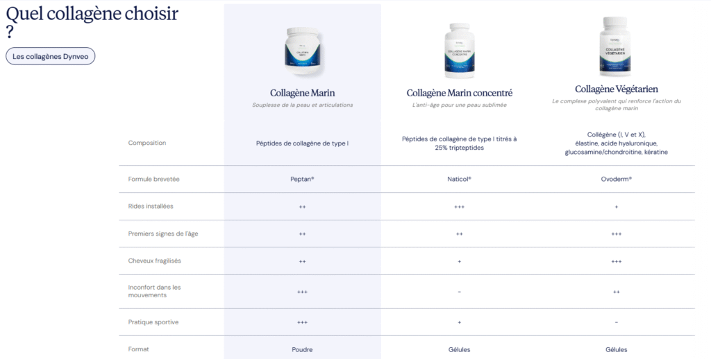 Les différents collagènes Dynveo